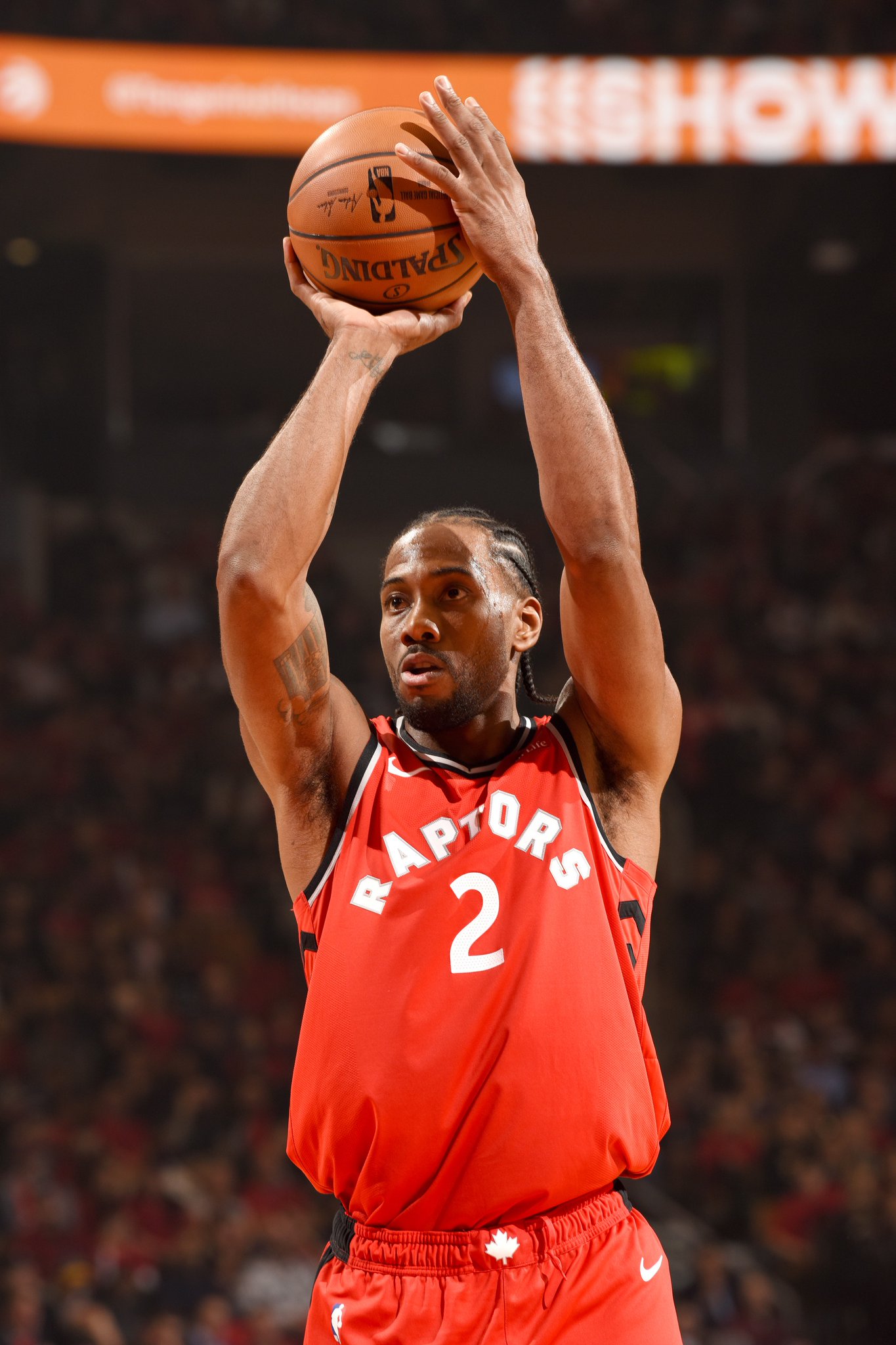 建议引入 建议引入